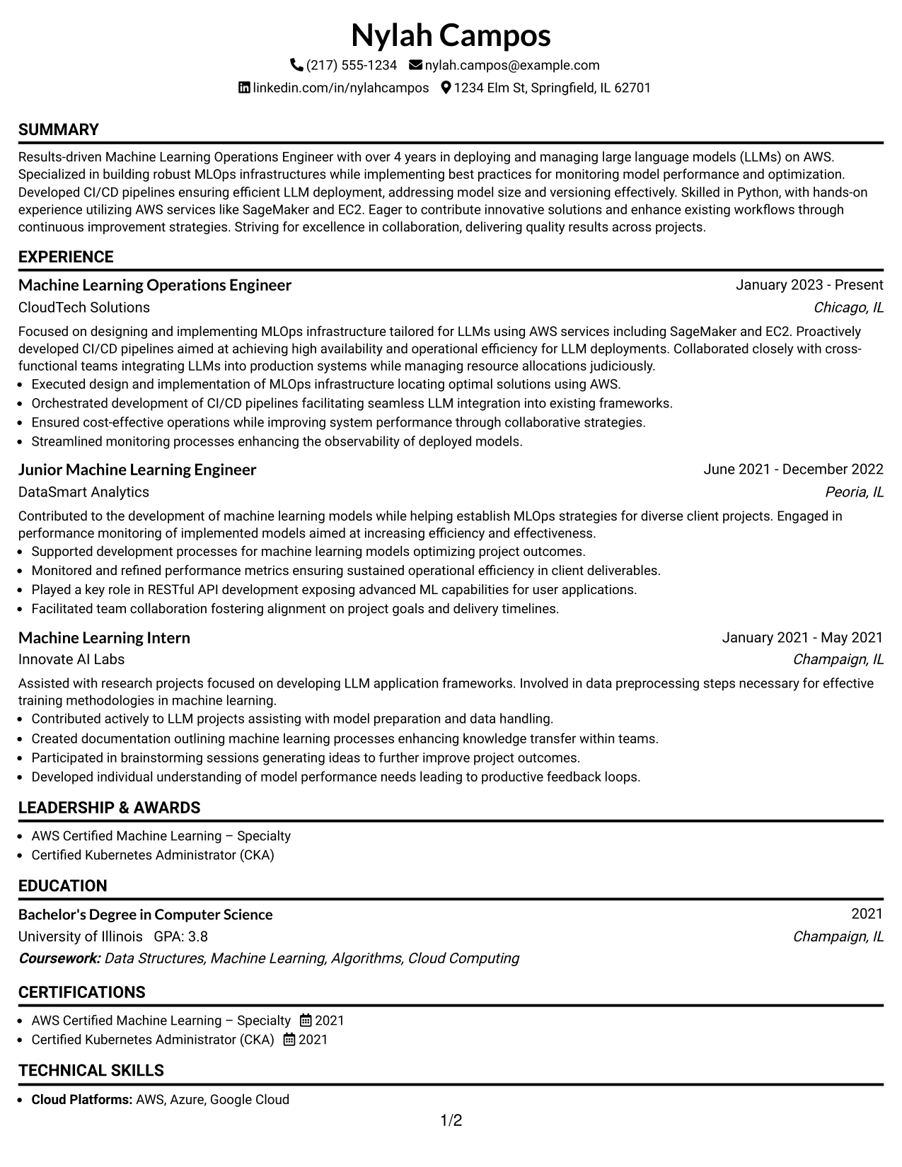 Resume Example Page 1