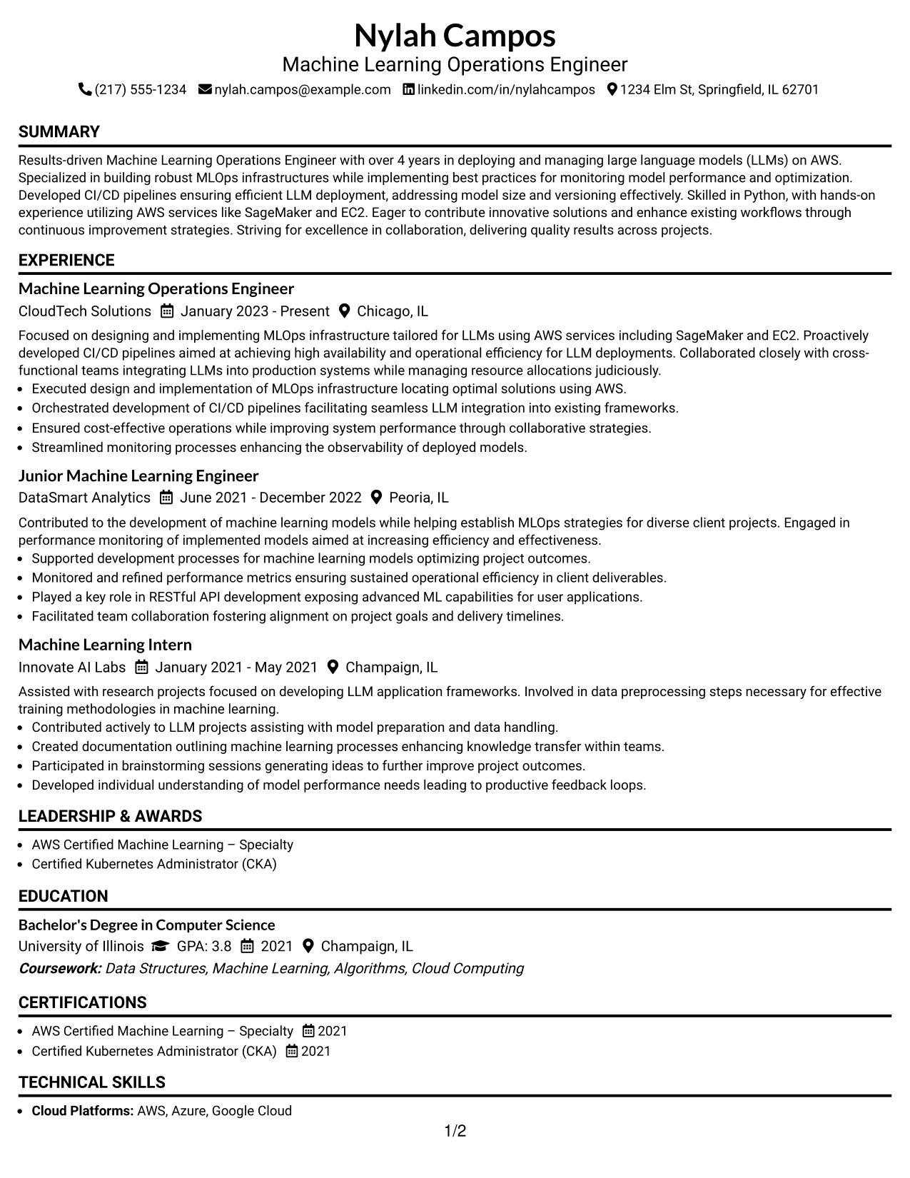 Resume Example Page 1