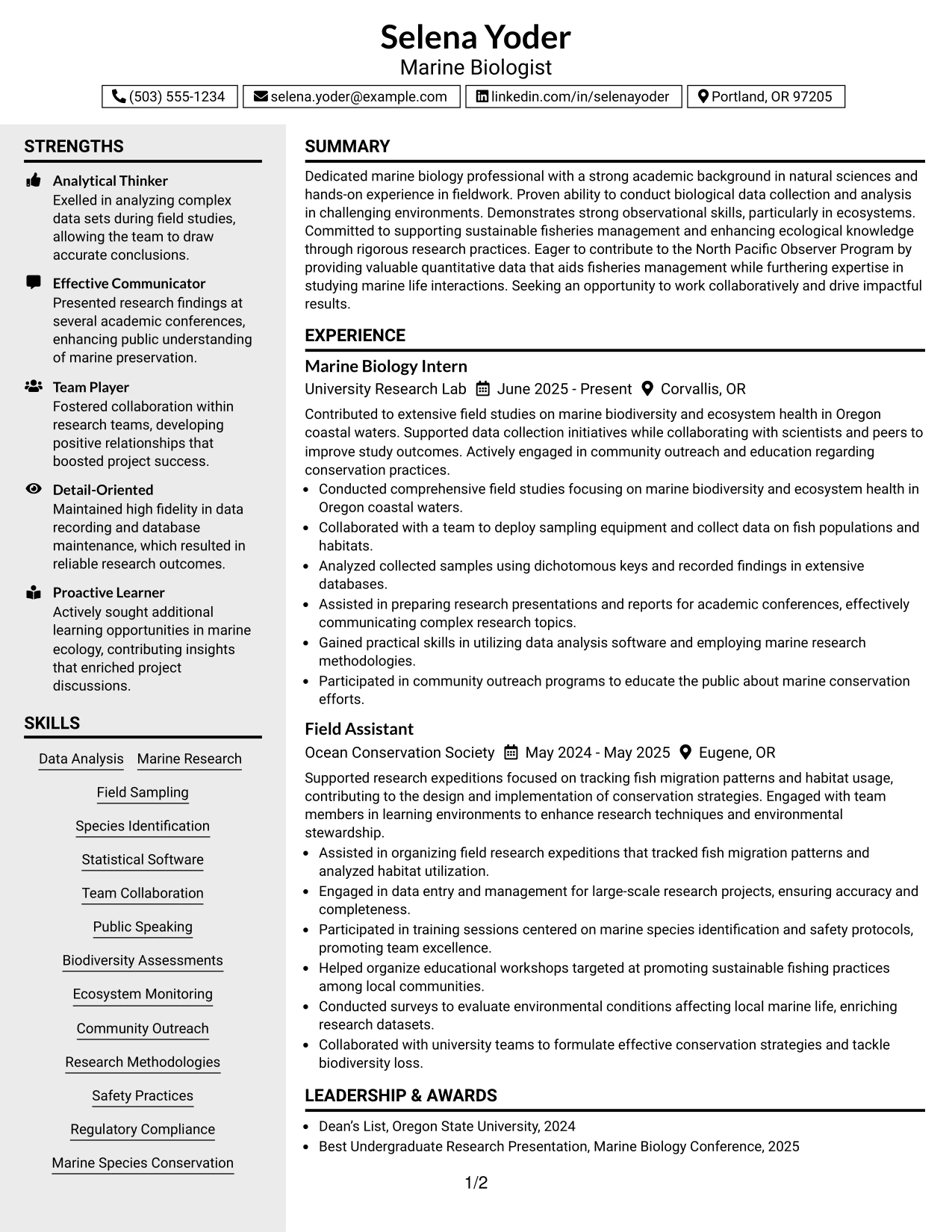 Resume Example Page 1