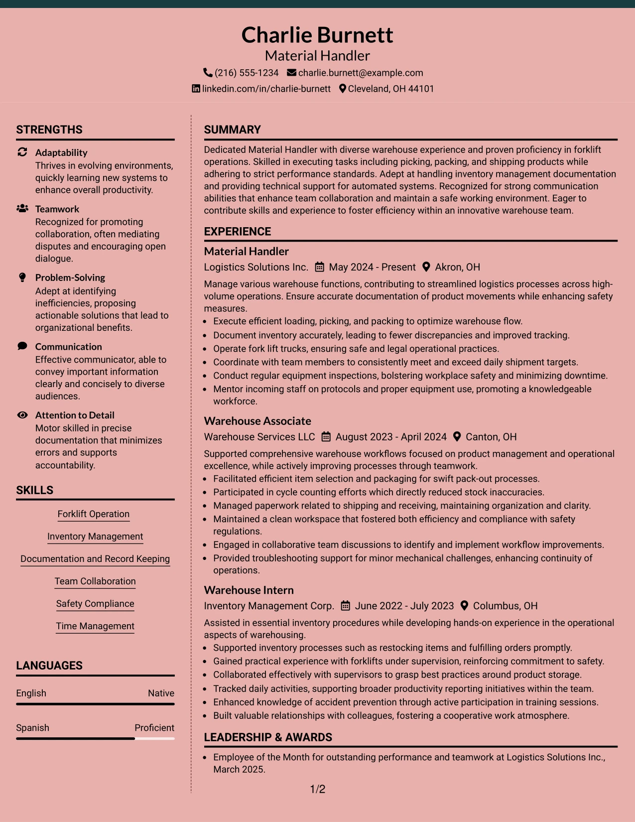 Resume Example Page 1