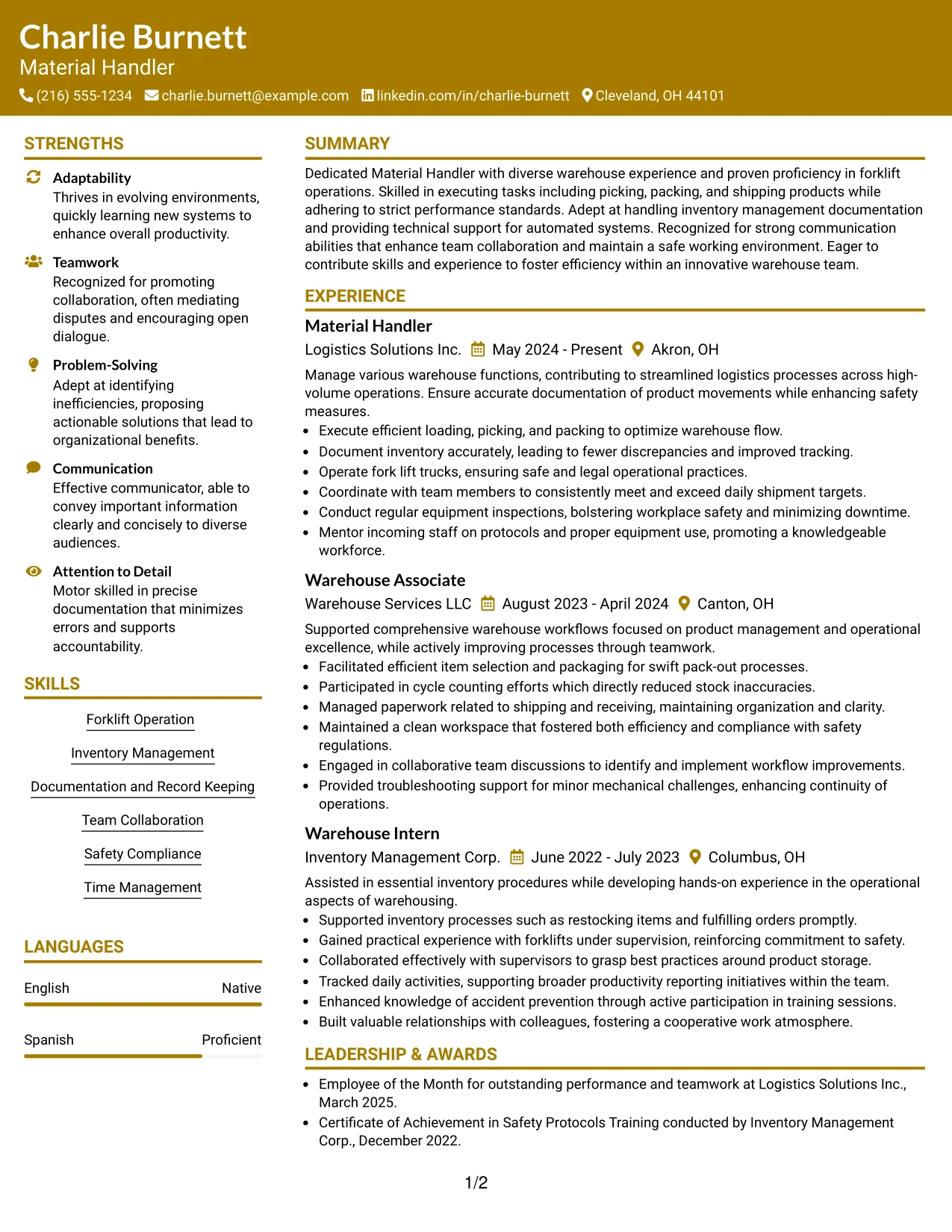 Resume Example Page 1