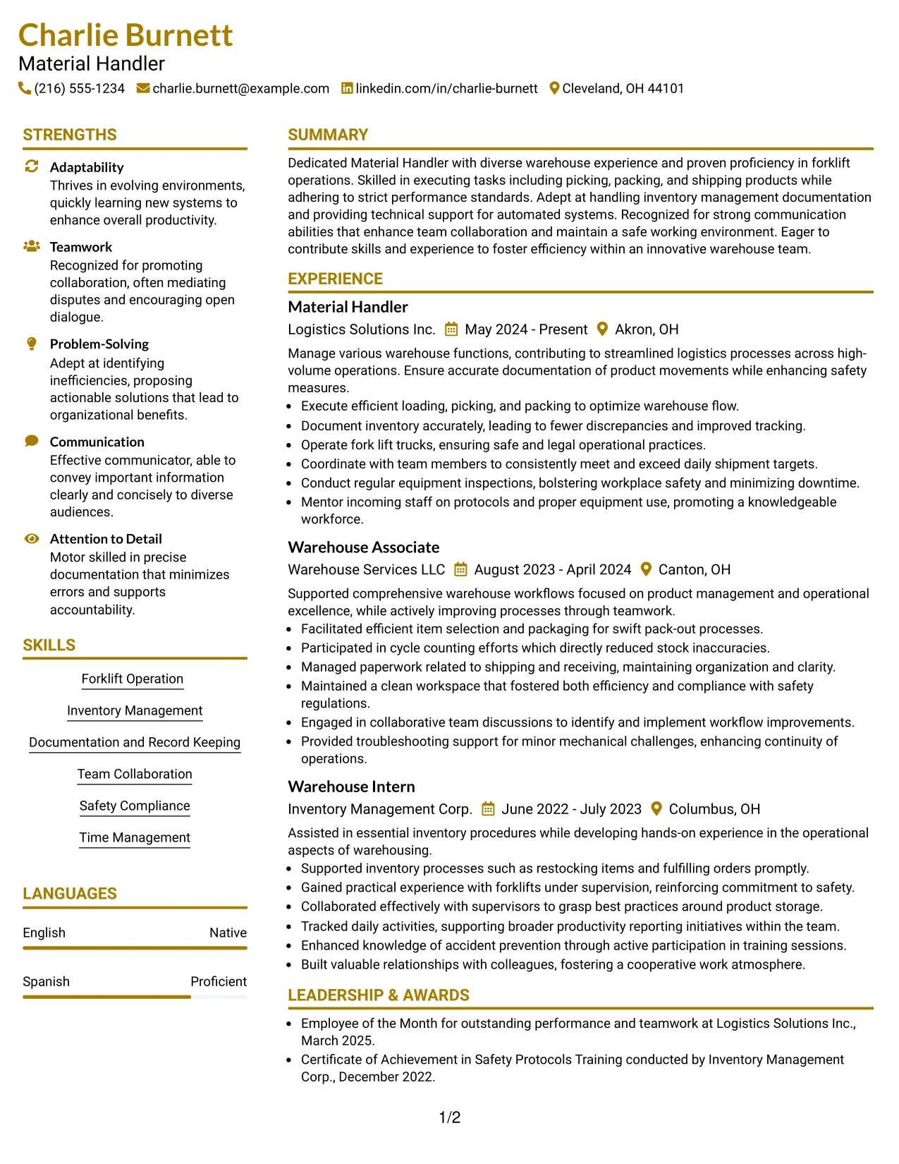 Resume Example Page 1