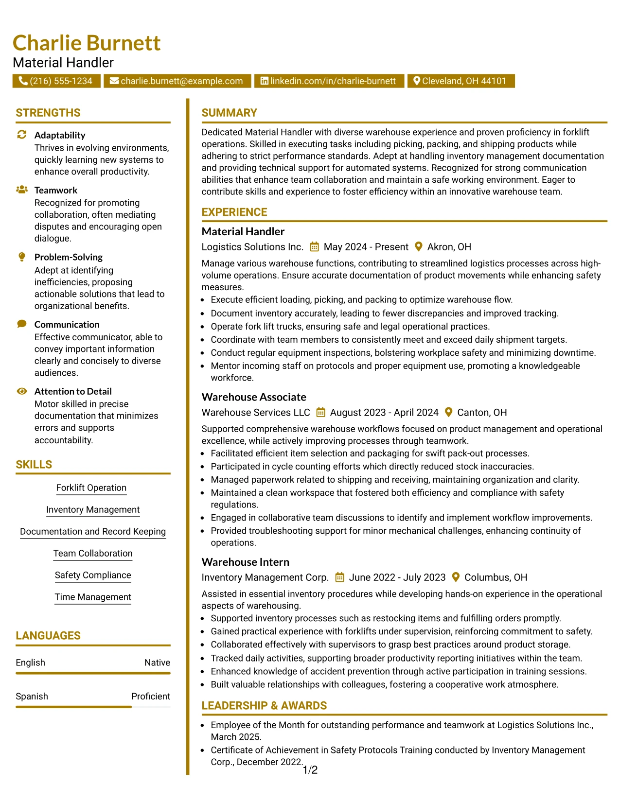Resume Example Page 1