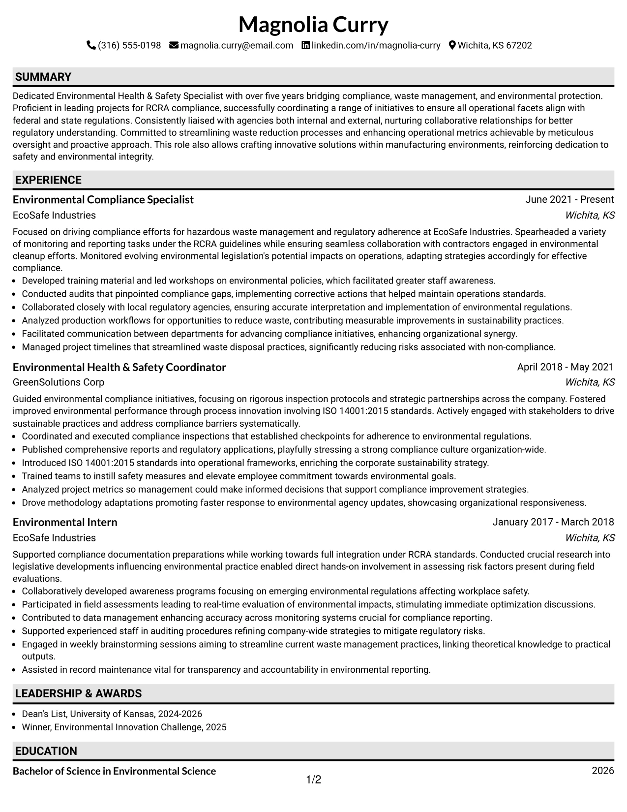 Resume Example Page 1