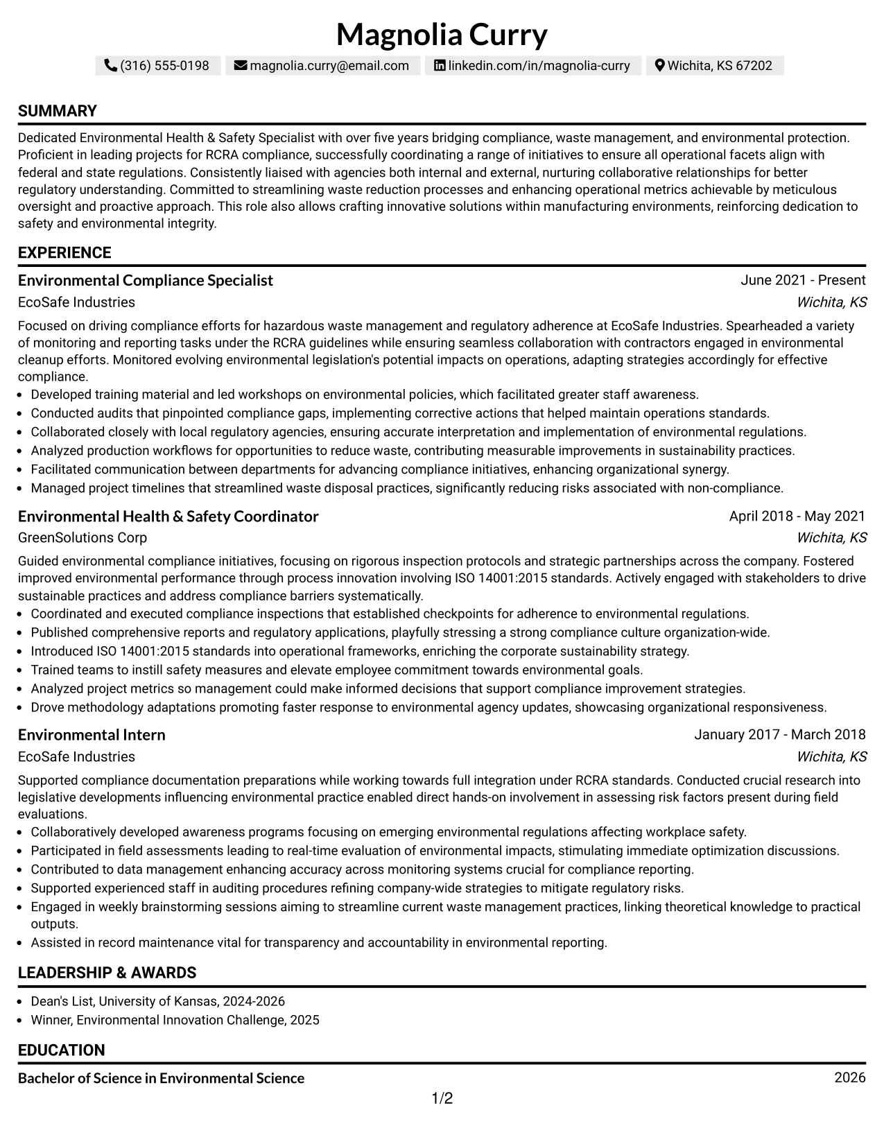 Resume Example Page 1