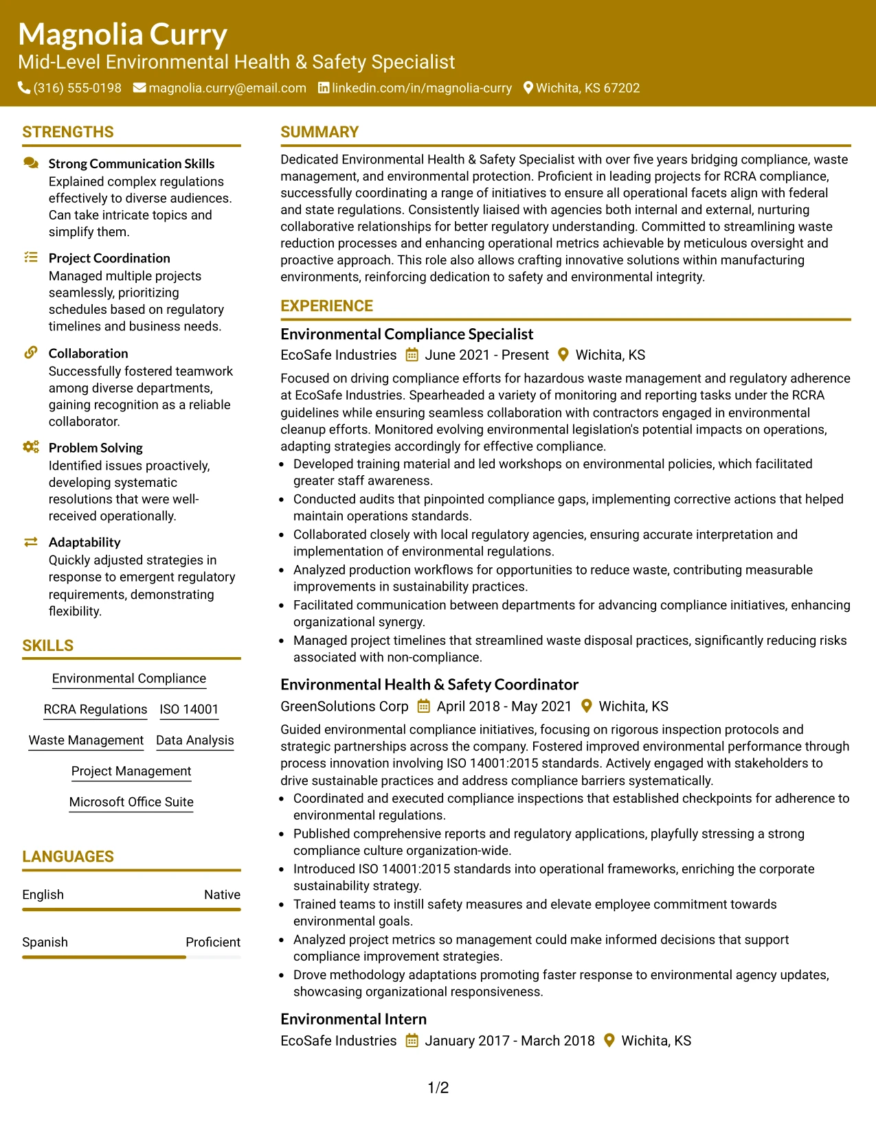 Resume Example Page 1