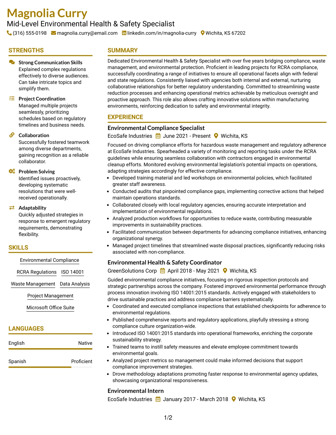 Resume Example Page 1