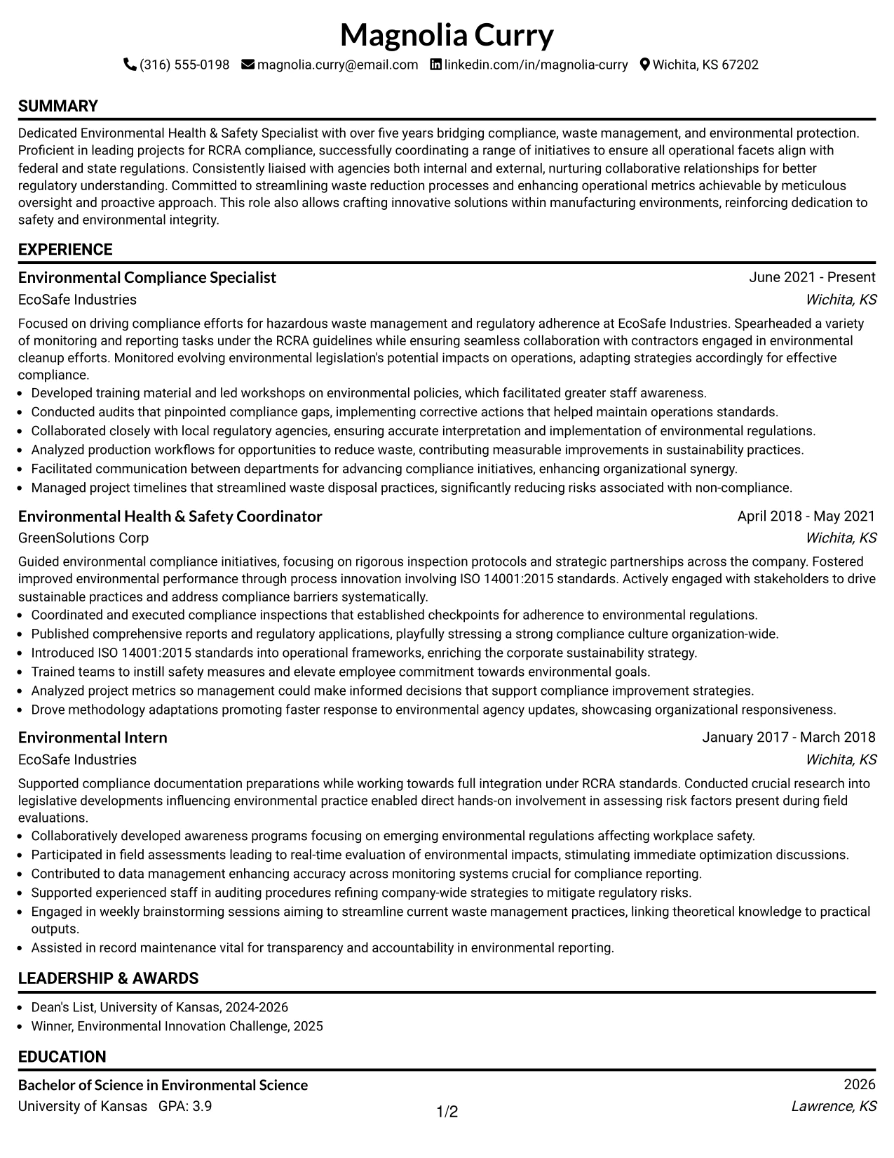 Resume Example Page 1