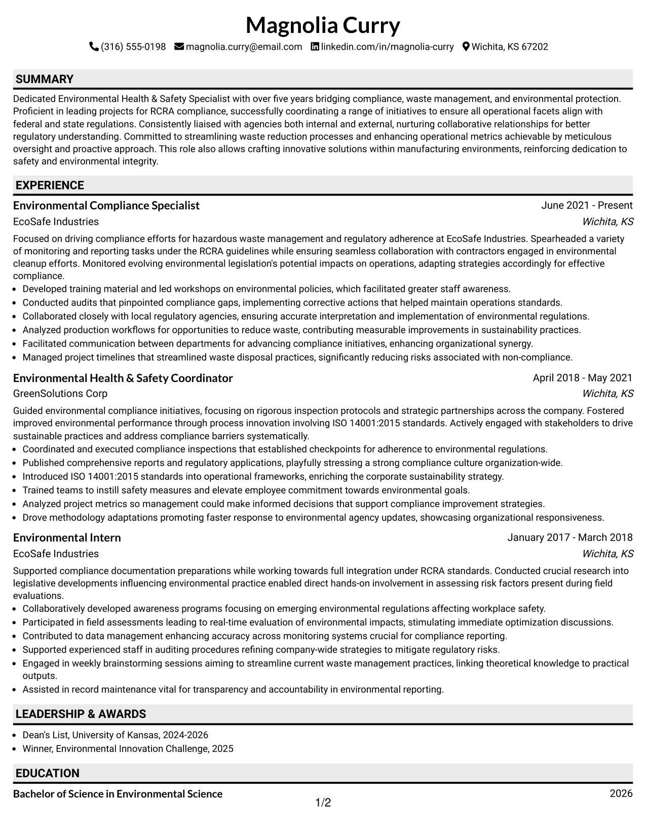 Resume Example Page 1