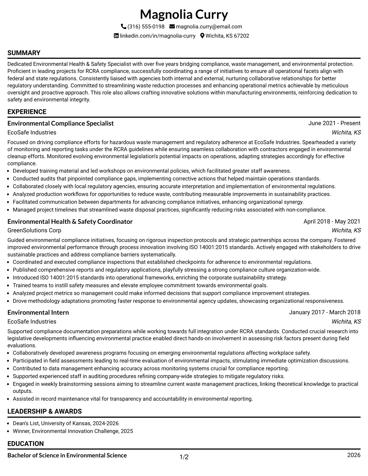 Resume Example Page 1