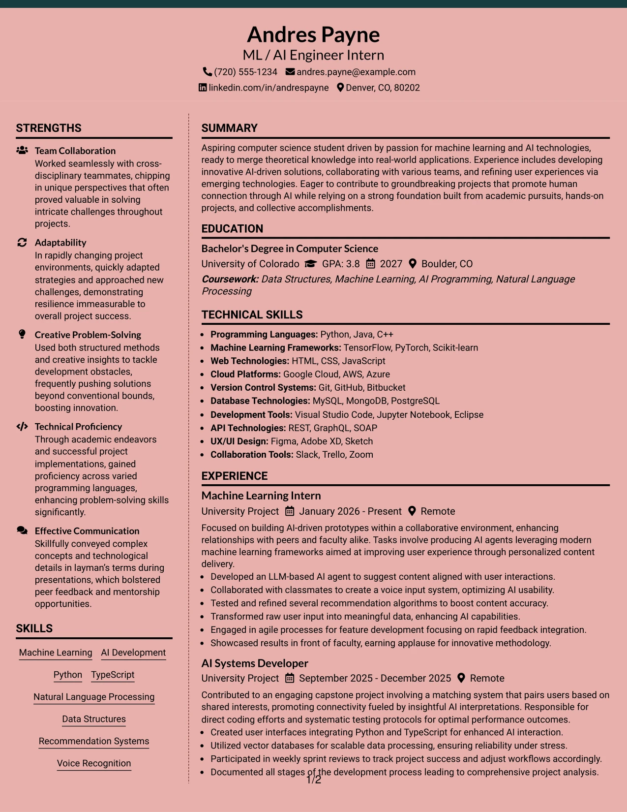 Resume Example Page 1