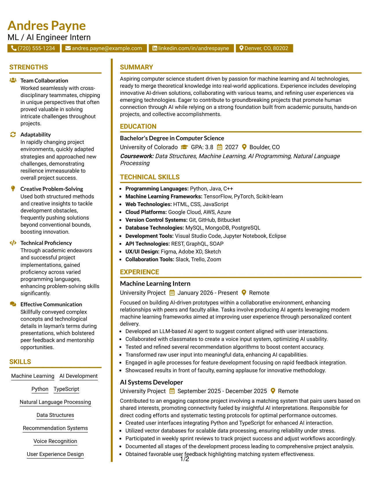 Resume Example Page 1