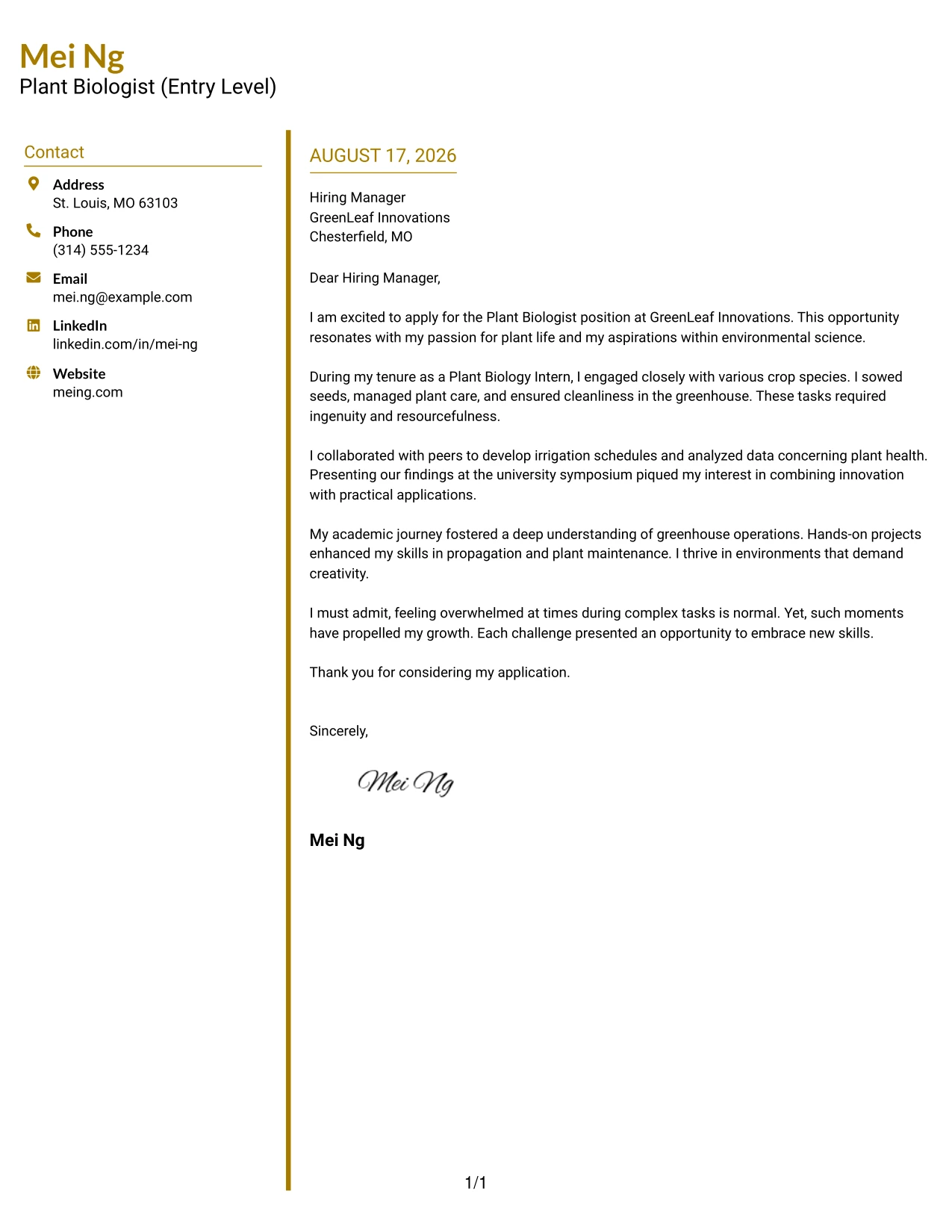 Resume Example Page 1