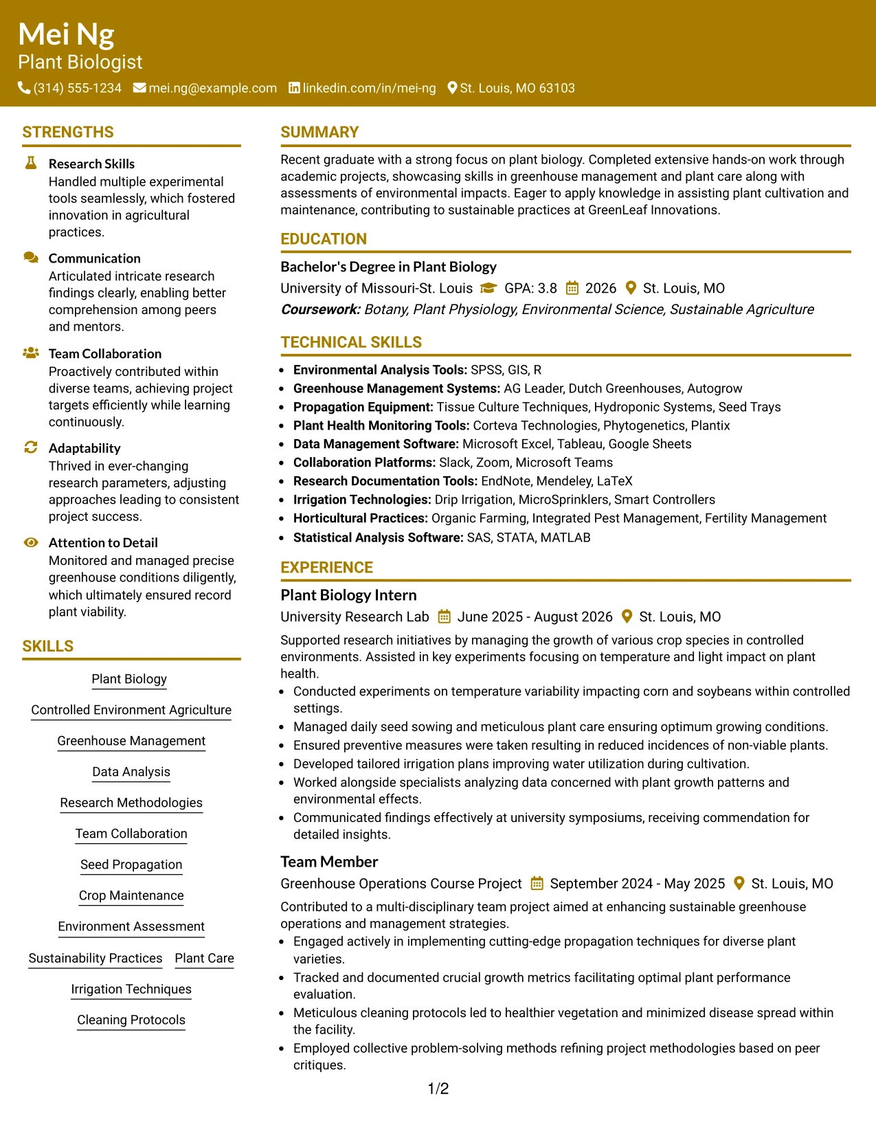 Resume Example Page 1
