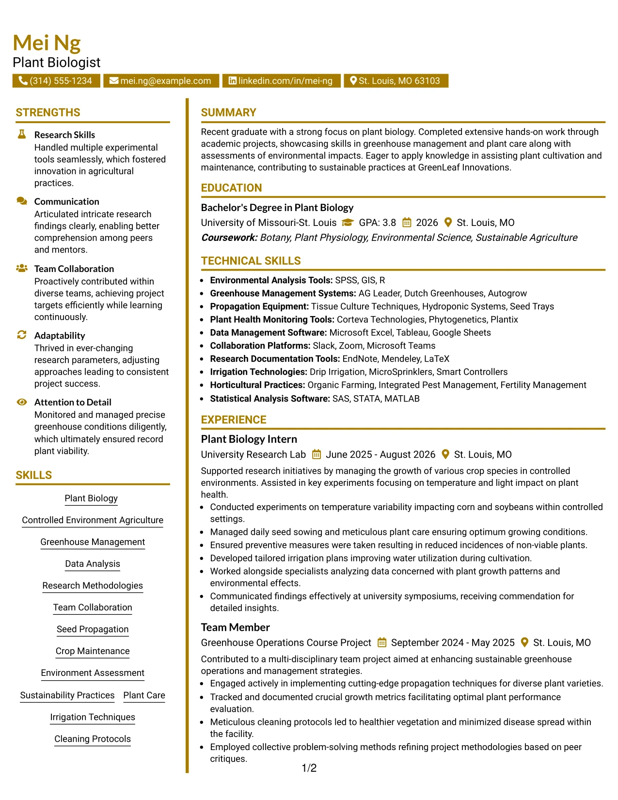 Resume Example Page 1