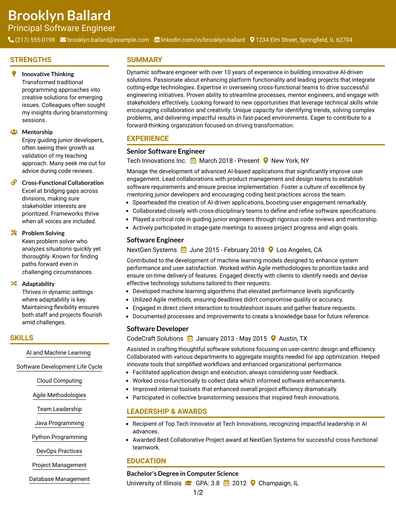 Resume Example Page 1