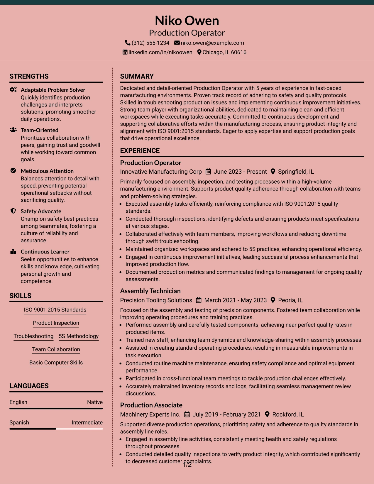 Resume Example Page 1