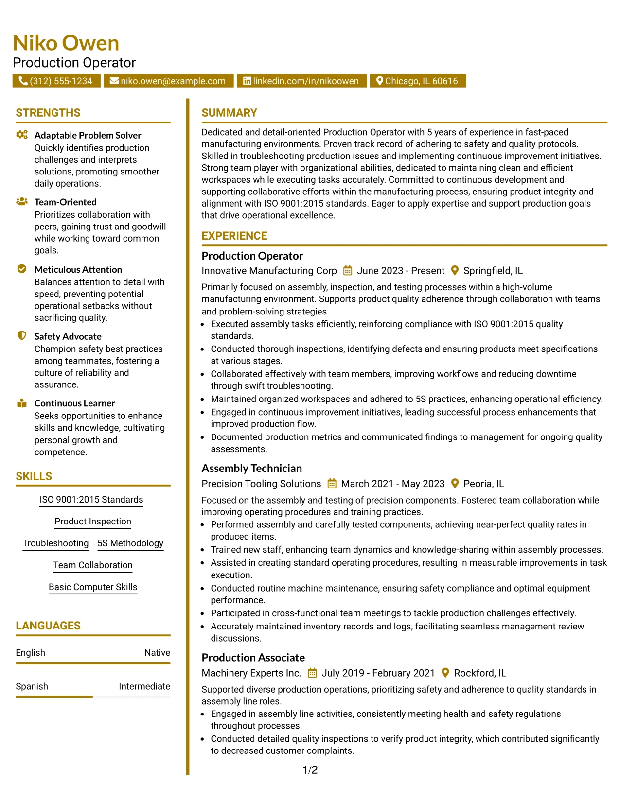 Resume Example Page 1