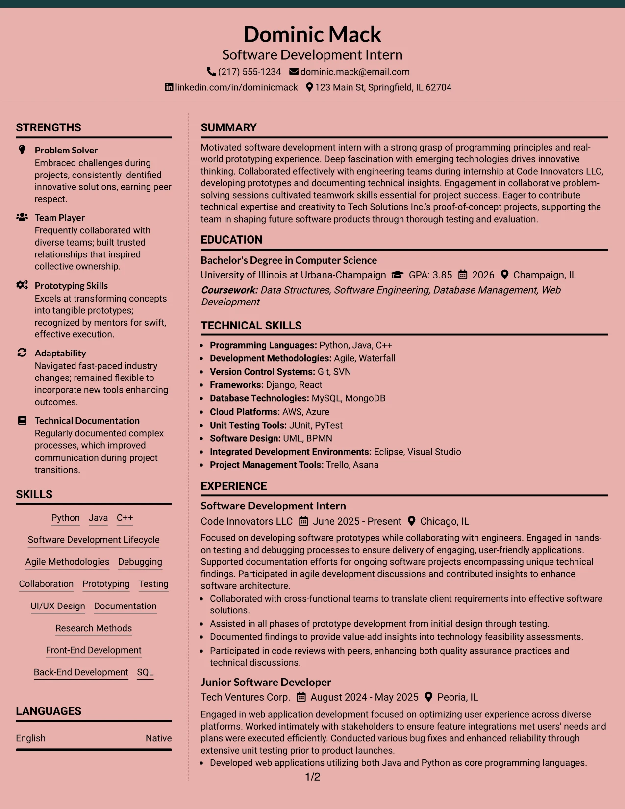 Resume Example Page 1