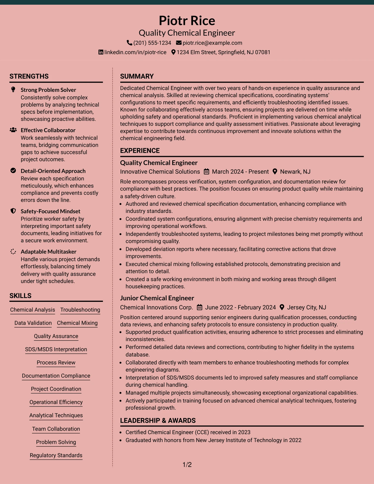 Resume Example Page 1