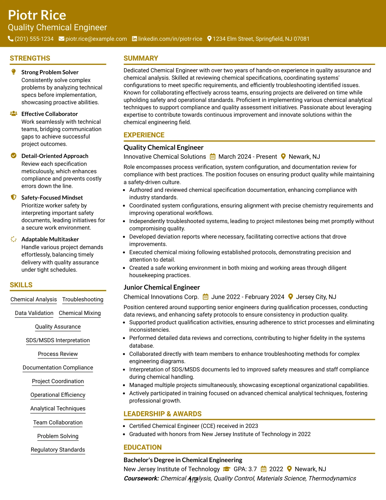 Resume Example Page 1