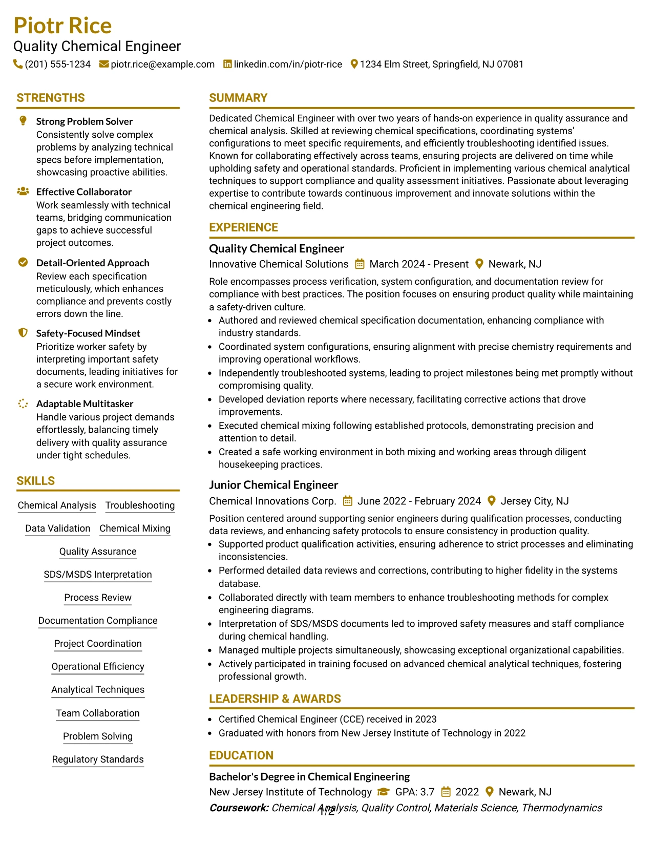 Resume Example Page 1