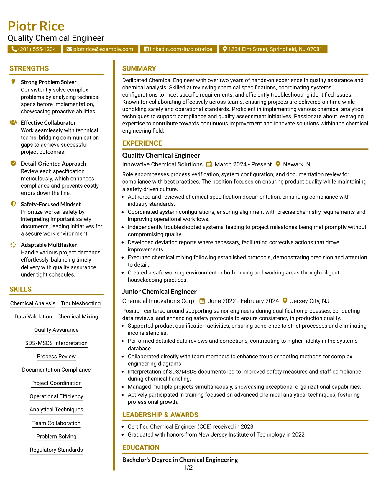 Resume Example Page 1
