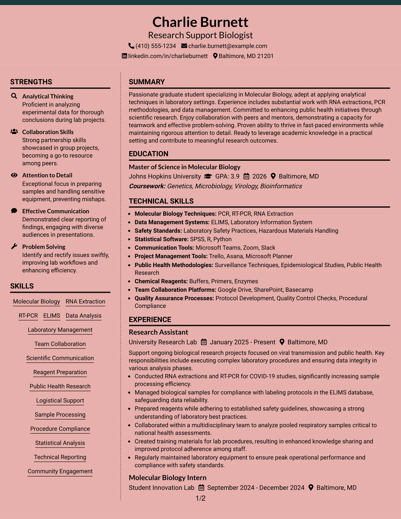 Resume Example Page 1