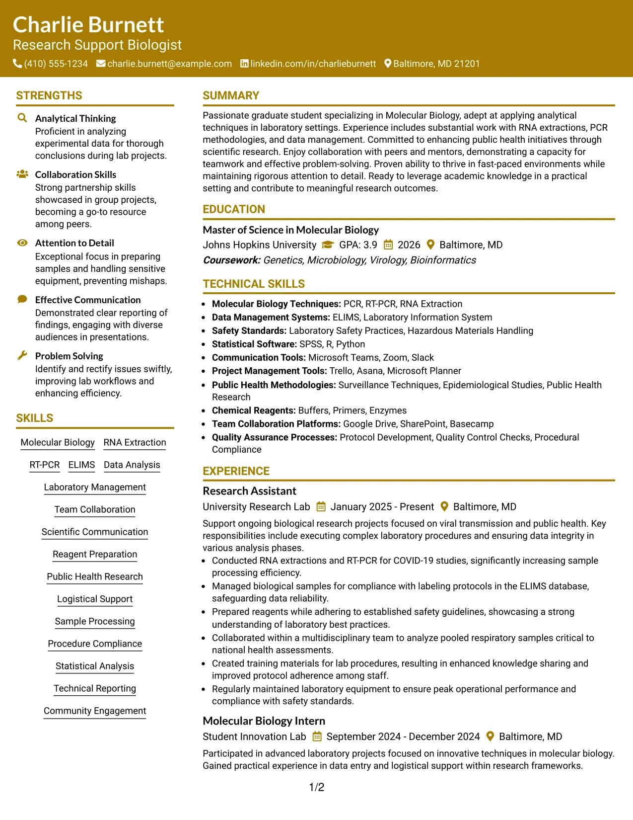 Resume Example Page 1