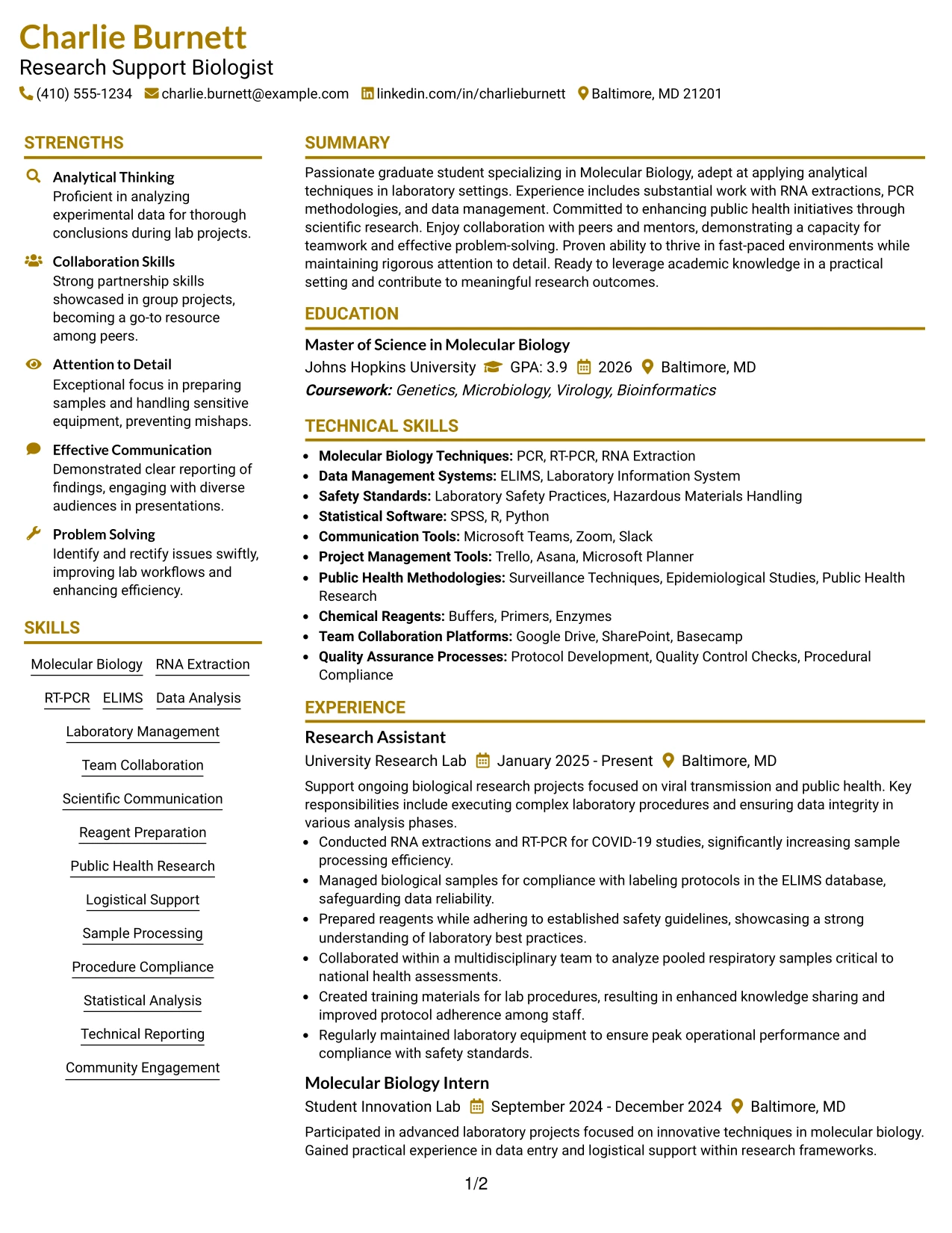 Resume Example Page 1