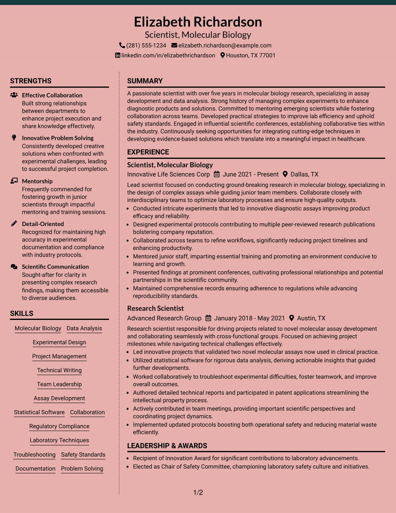 Resume Example Page 1
