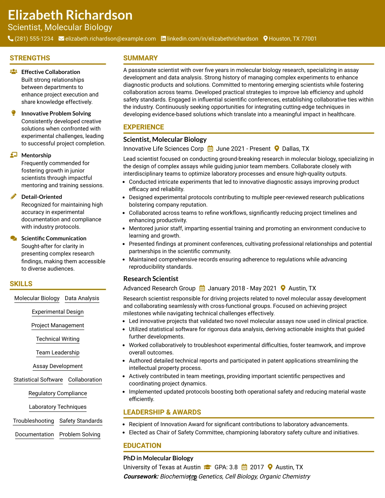 Resume Example Page 1