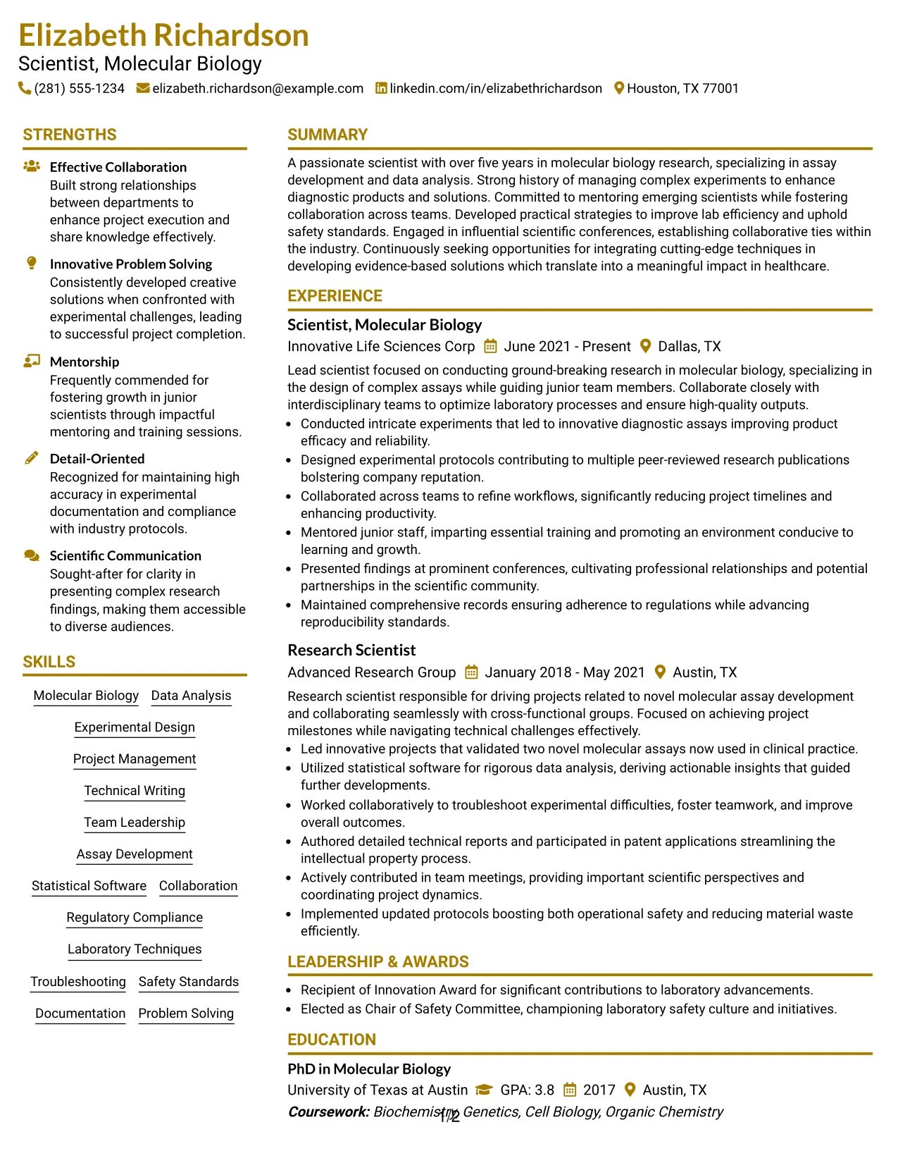 Resume Example Page 1