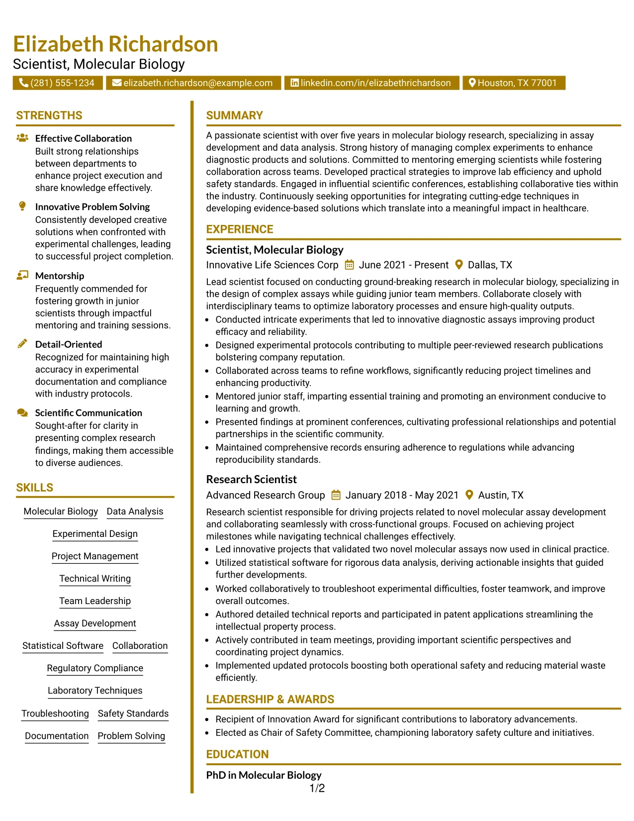 Resume Example Page 1