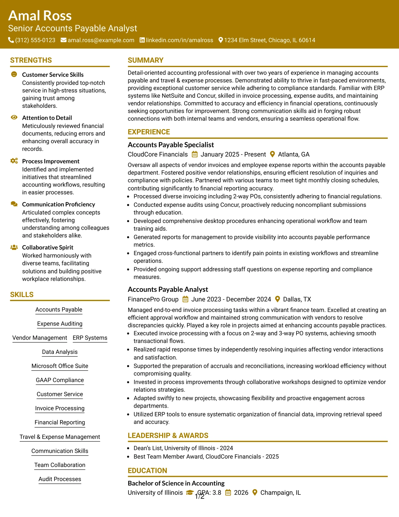 Resume Example Page 1