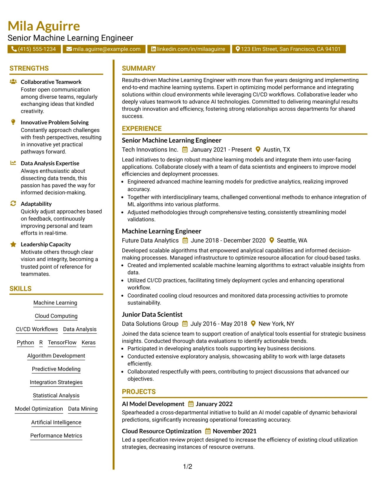 Resume Example Page 1