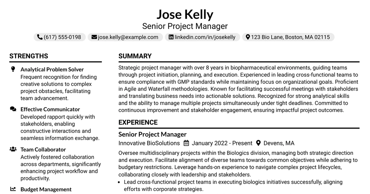 33 Senior Project Manager Resume Templates with Example