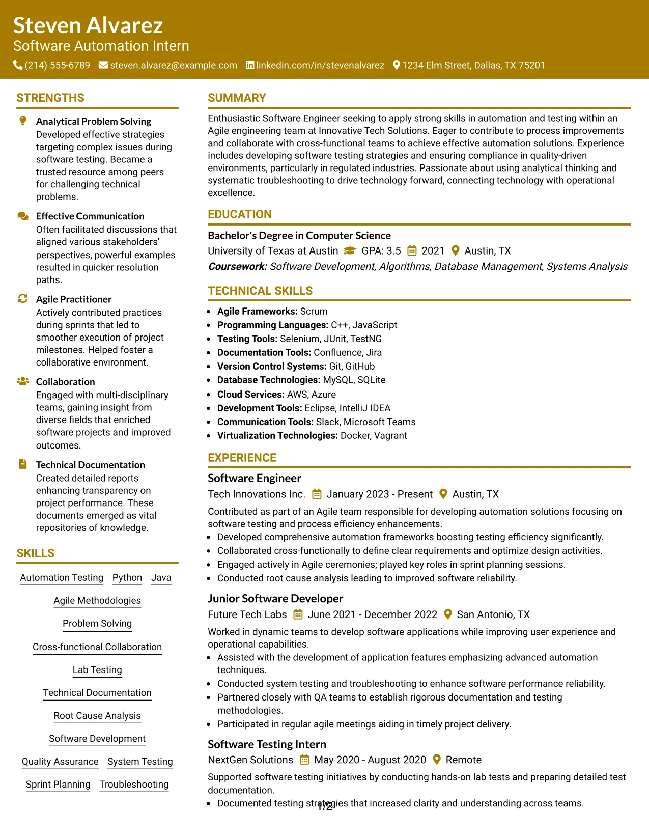Resume Example Page 1