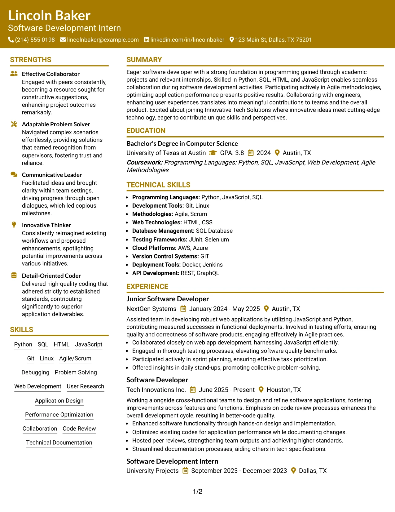 Resume Example Page 1