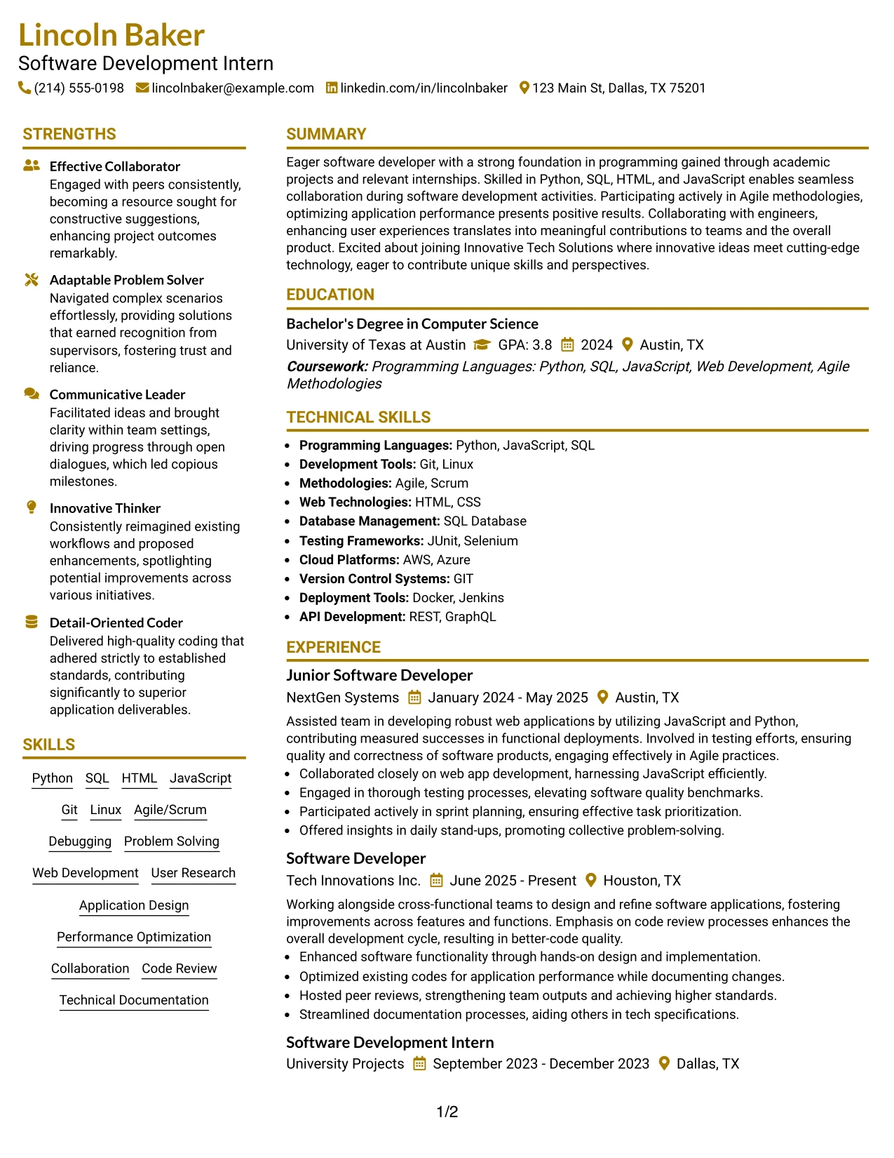 Resume Example Page 1