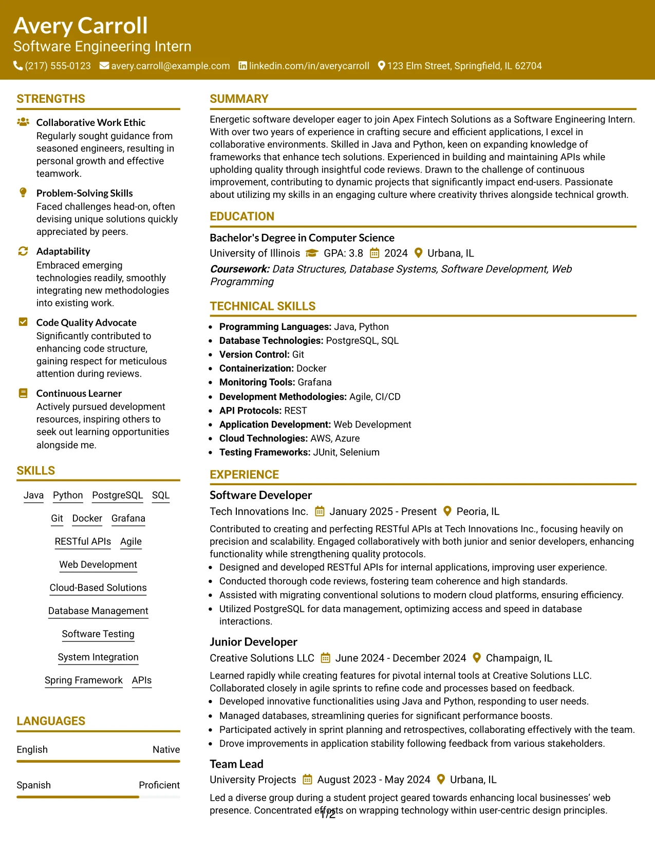 Resume Example Page 1