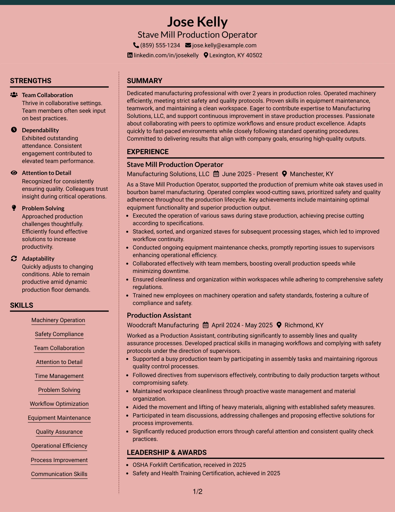 Resume Example Page 1