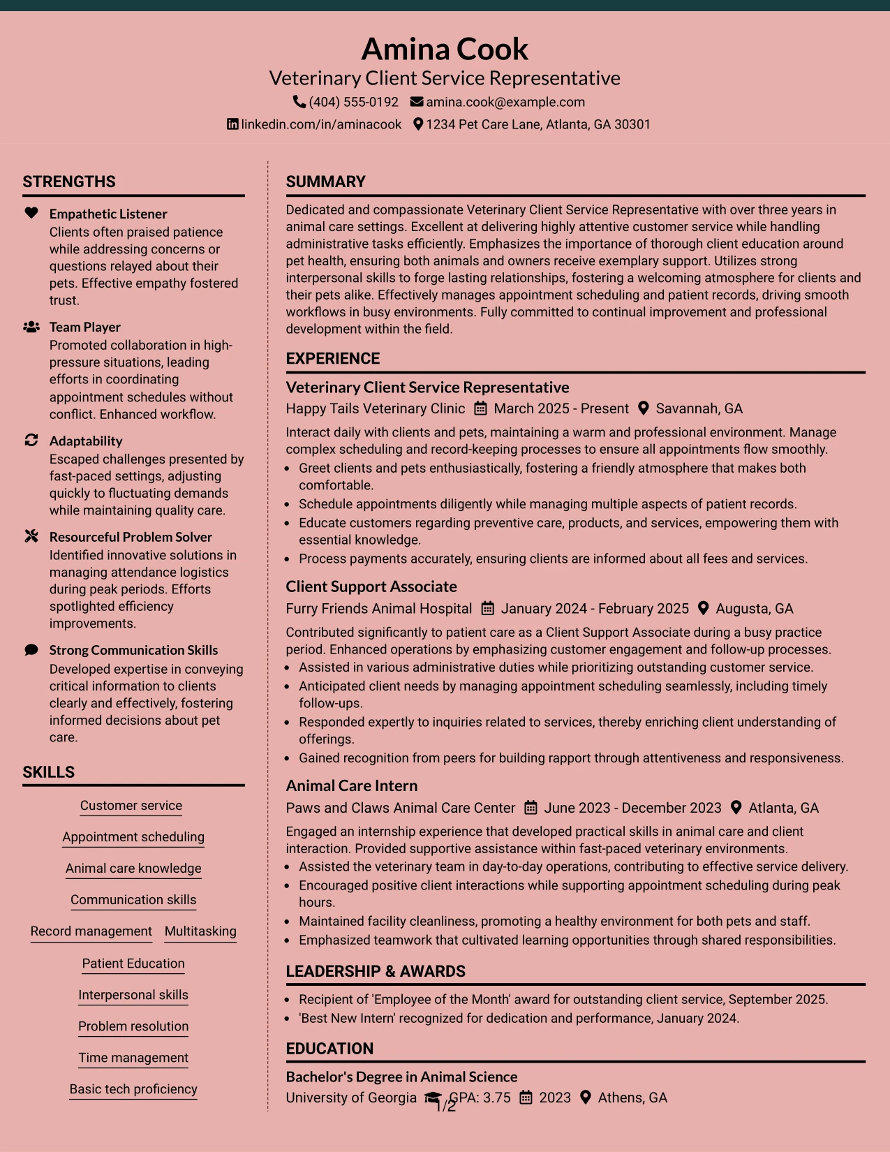 Resume Example Page 1
