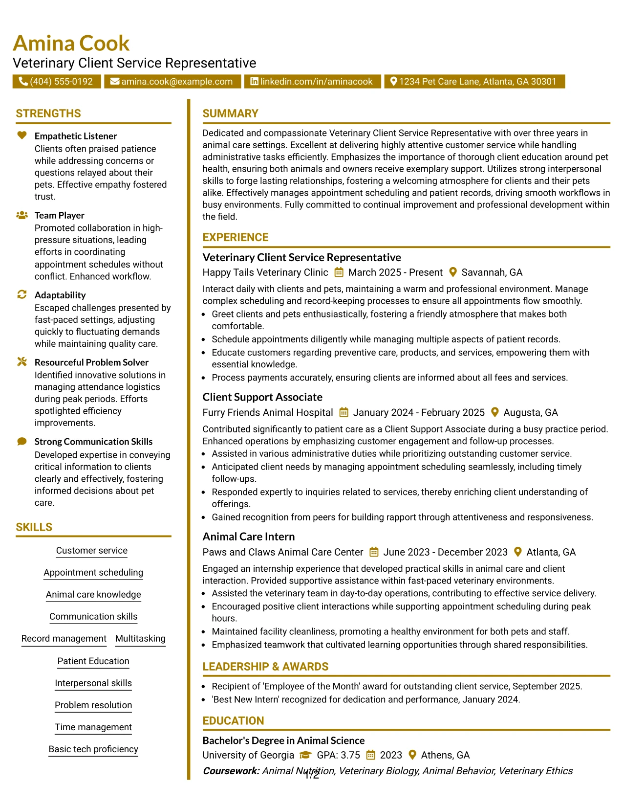 Resume Example Page 1