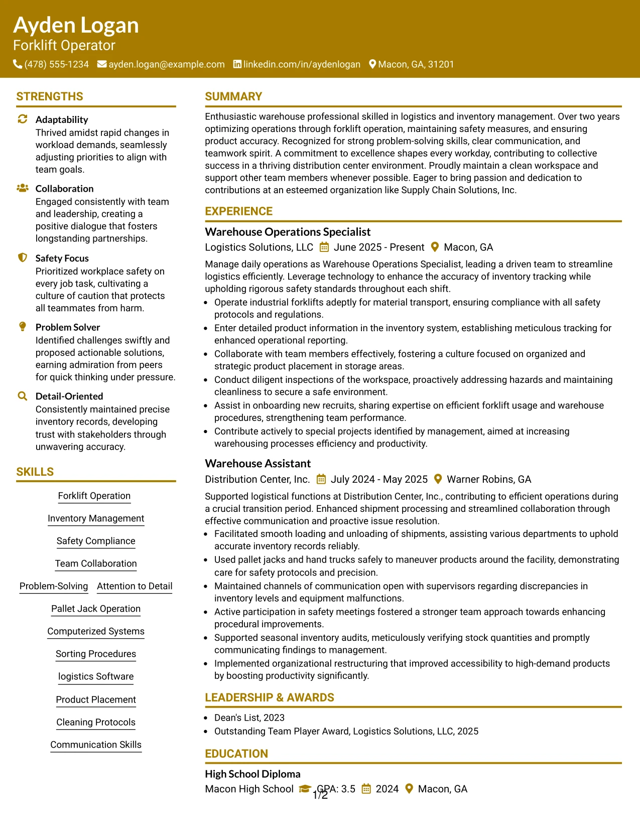 Resume Example Page 1
