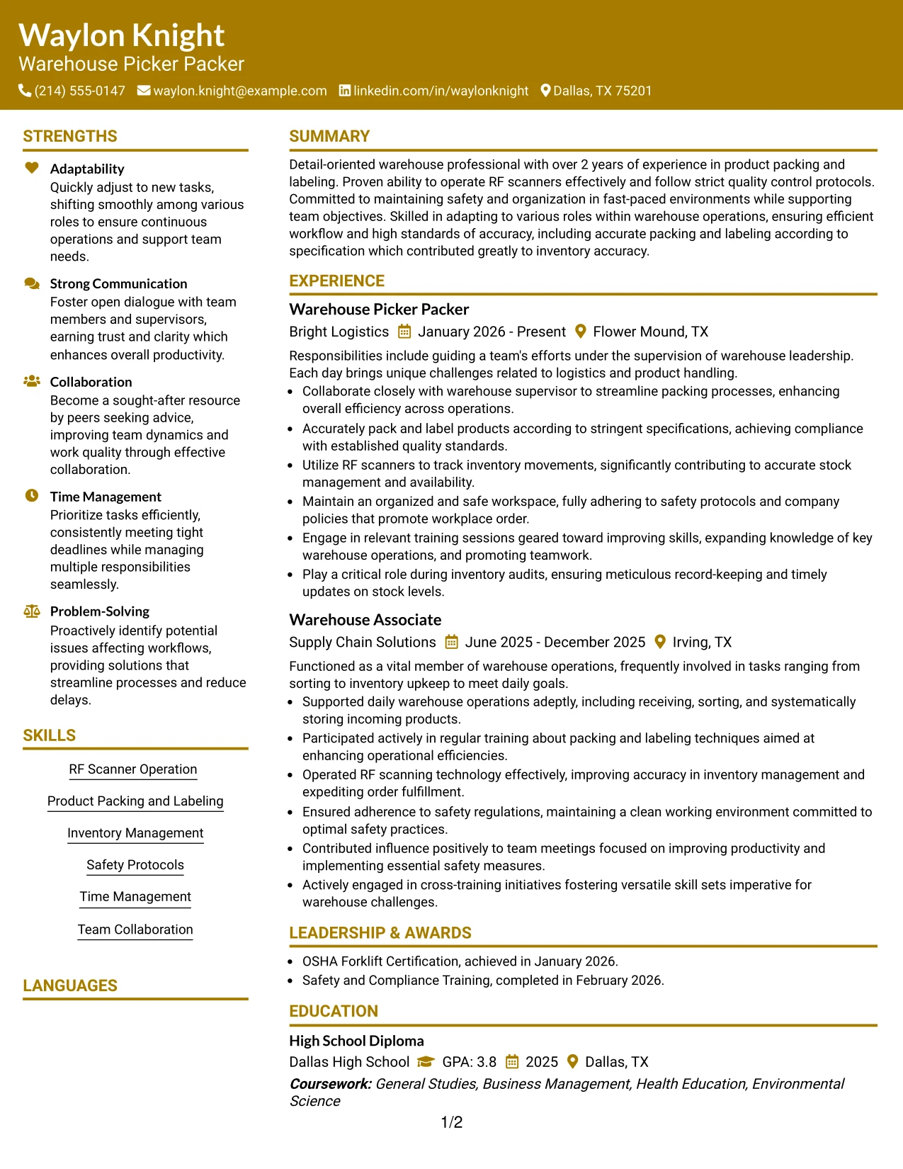 Resume Example Page 1