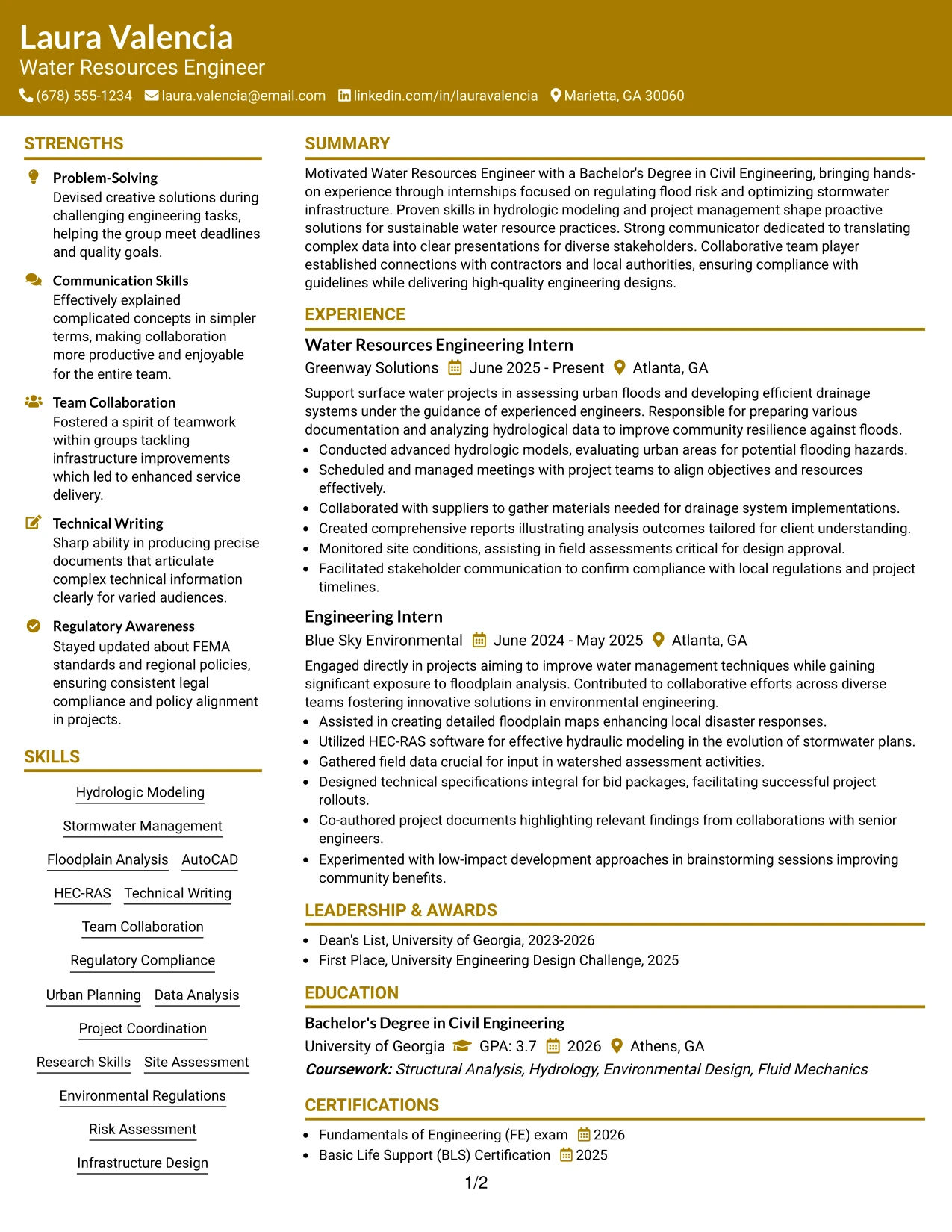 Resume Example Page 1