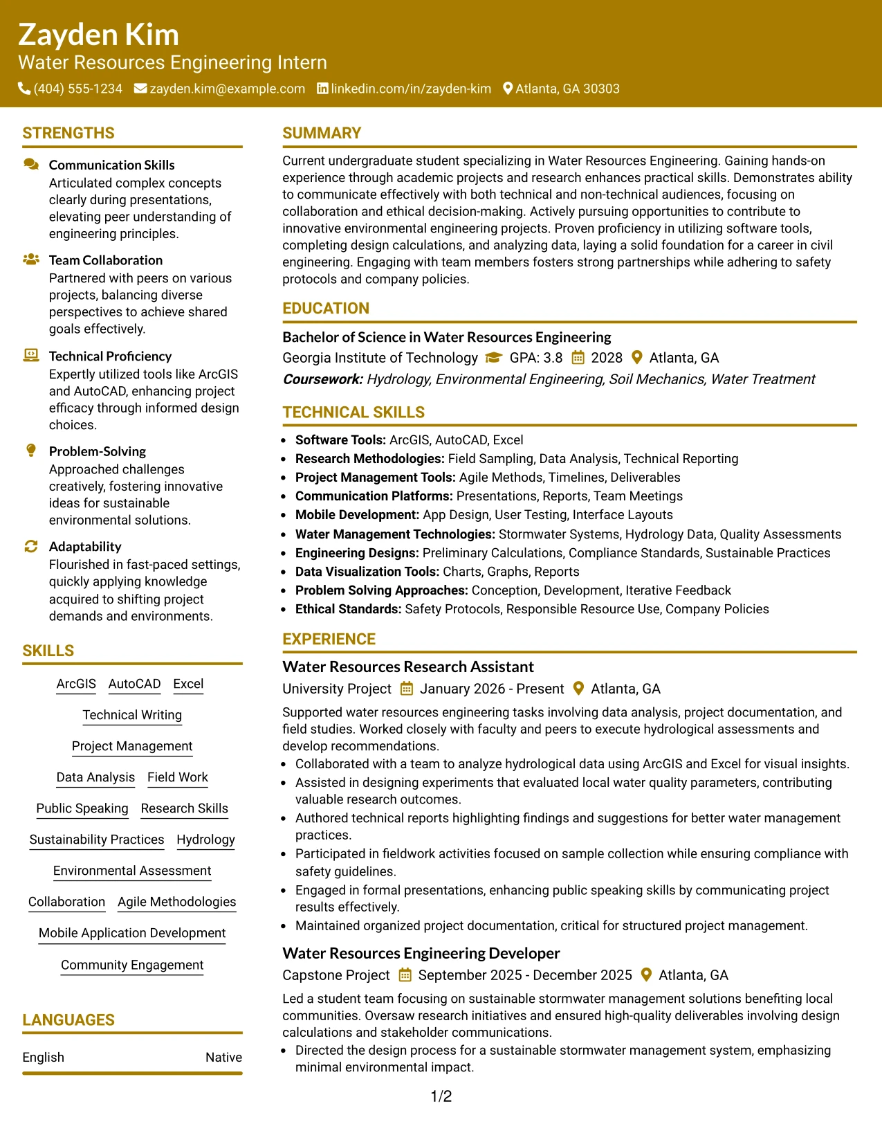 Resume Example Page 1