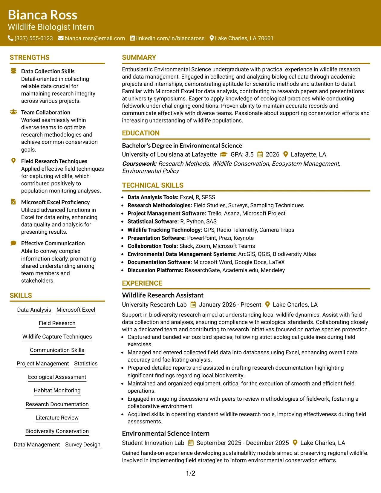 Resume Example Page 1