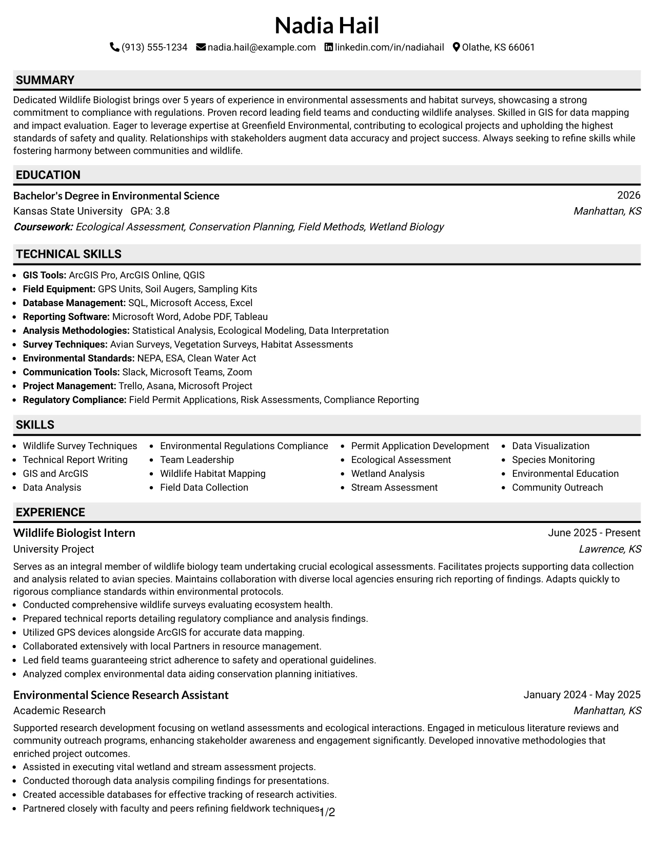 Resume Example Page 1